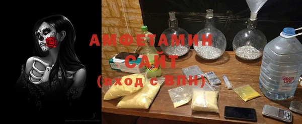 индика Покачи