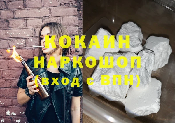 индика Покачи