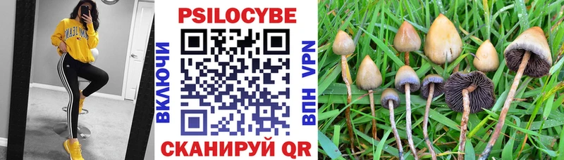 цены Бавлы Псилоцибиновые грибы Magic Shrooms